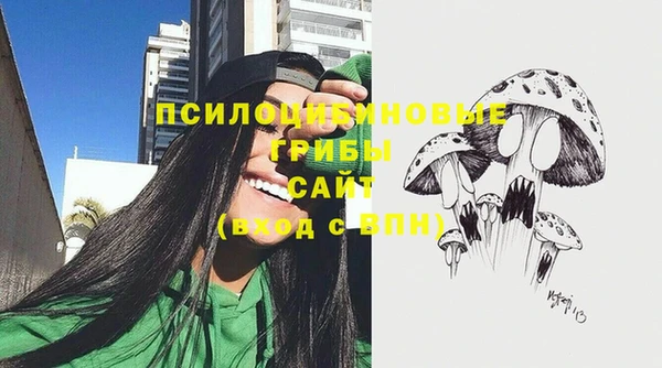 соль курить ск Алексин