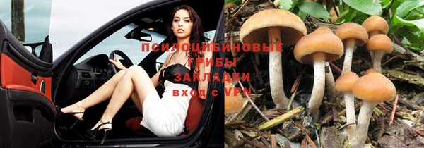 соль курить ск Алексин